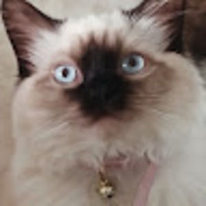 Meet your Posher, Melanie